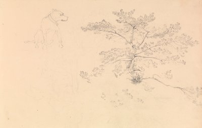 Estudo de um cão com coleira e de ramos de árvores de John Christian Schetky