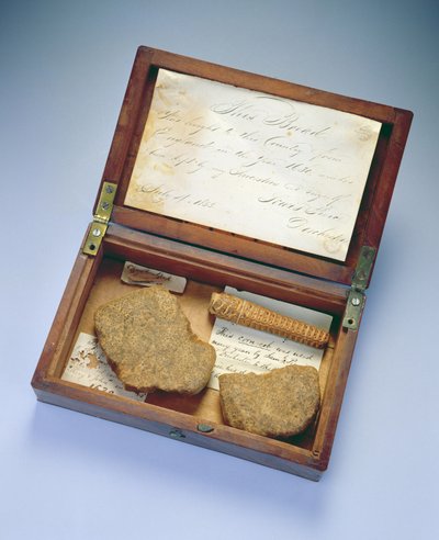 Relic box, de Dorchester, Massachusetts, 1835 (mogno e bétula) de John Clapp