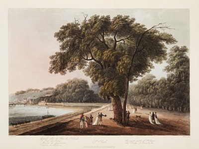 St Cloud, a grande caminhada de St Cloud, a ponte de Sevres, etc etc, ilustração de Versalhes, Paris e Saint Denis, pub. 1805 (aquatinta) de John Claude Nattes