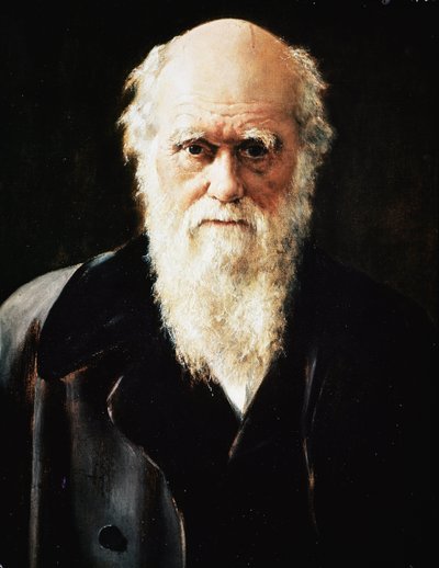 Retrato do naturalista inglês Charles Darwin, detalhe (óleo sobre tela de John Collier