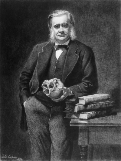 Thomas Henry Huxley (1825-95), gravado por Leopold Flameng (1831-1911) 1885 de John Collier