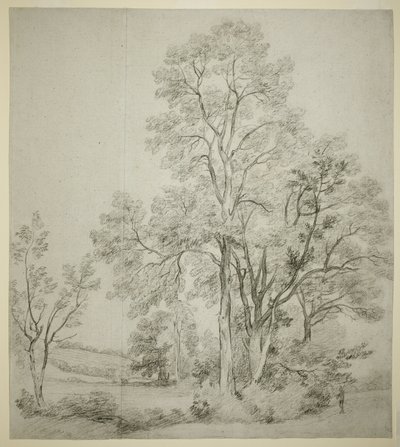 Uma Bancada de Olmos (reto); Um Estudo de East Bergholt com a Igreja (verso) de John Constable