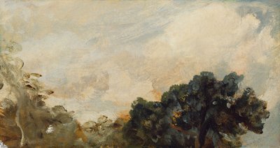 Estudo de Nuvem com Árvores, 1821 (óleo sobre papel colocado a bordo) de John Constable