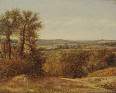 Dedham Vale de John Constable