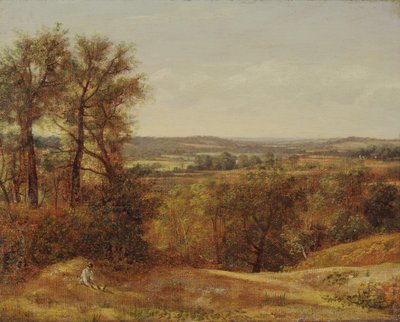 Dedham Vale, 1802. de John Constable