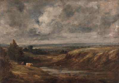 Urze de Hampstead de John Constable