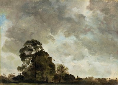 Paisagem em Hampstead, árvore e nuvens de tempestade, c.1821 (óleo sobre papel colocado no painel) de John Constable