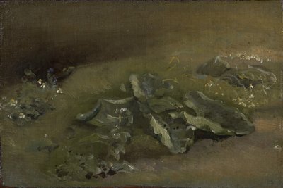 Estudo de uma bardana, c.1810-14 ou c.1828 de John Constable