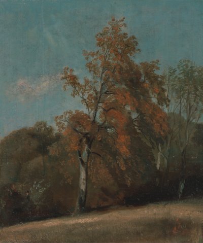 Estudo de um freixo de John Constable