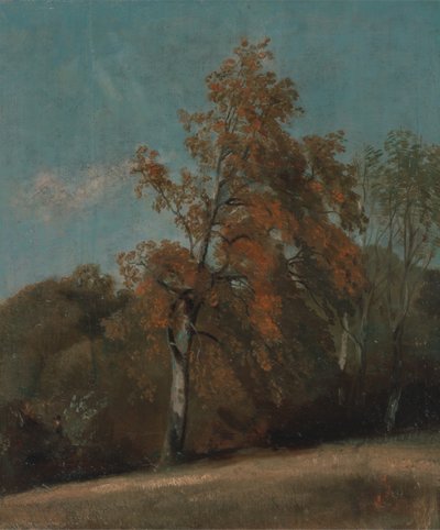 Estudo de uma Ash Tree, entre 1801 e 1803 ou entre 1810 e 1830. de John Constable