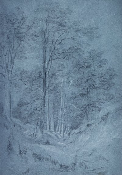 Estudo de cinzas e outras árvores (lápis sobre papel, aumentado com giz branco) de John Constable