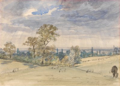 Paisagem de Suffolk de John Constable