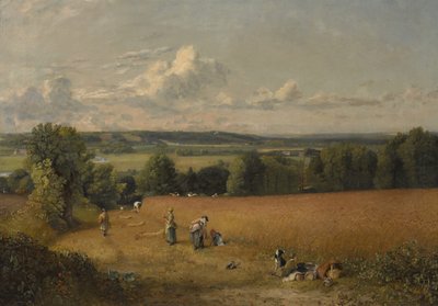 O campo de trigo de John Constable