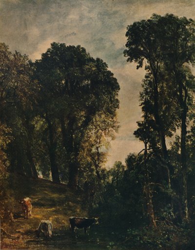 Árvores perto de Hampstead Church, 1829, c1915 de John Constable