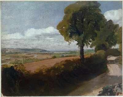 Vista de Dedham da faixa que vai da Igreja de East Bergholt até Flatford (óleo sobre tela de John Constable