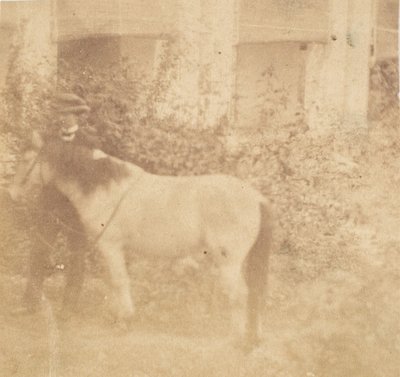 [Homem e Cavalo, Casa do Governo, Allahabad], 1858. de John Constantine Stanley