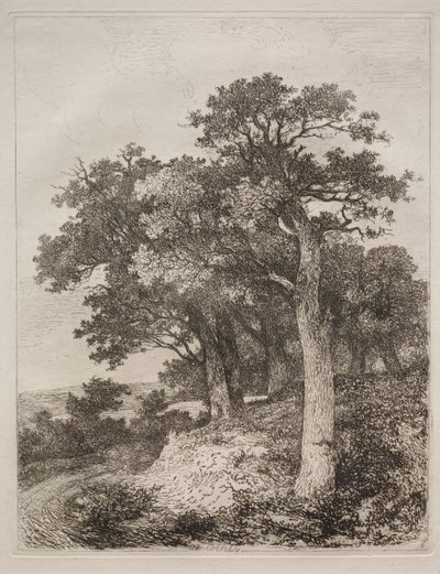 Em Colney. de John Crome