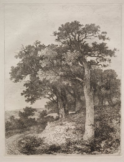 Em Colney de John Crome