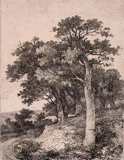 Em Colney, pub. por J. & W. Freeman de John Crome