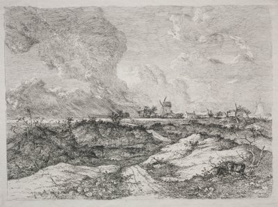 Mousehold Heath, c. 1810-13. de John Crome
