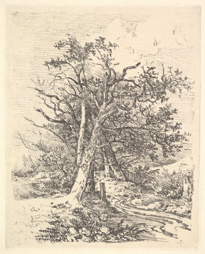 Troncos de árvore e pista, 1811-13. de John Crome
