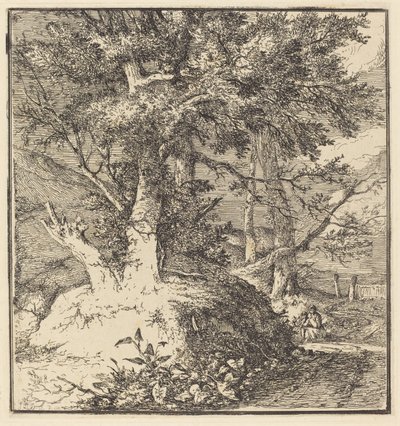 Árvore em um monte de John Crome