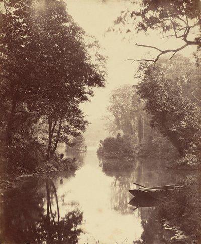 Uma noite de verão, Penllergare, 25 de agosto de John Dillwyn Llewelyn