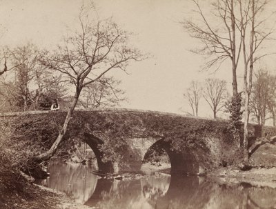A ponte de Staplylton da ponte do país, Bristol, c. 1854-1857. de John Dillwyn Llewelyn
