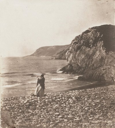 Winds & Waves, 1853-56. de John Dillwyn Llewelyn