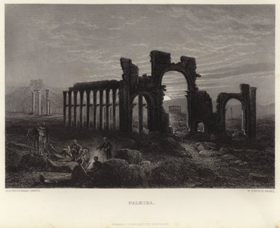 Palmyra de John Douglas Woodward