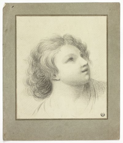 Cabeça virada para cima da juventude de John Downman