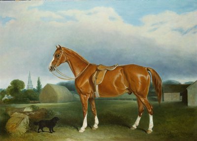 Um caçador de castanhas e um Spaniel por edifícios agrícolas de John E. Ferneley