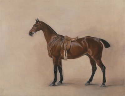 Estudo de um Saddled Bay Hunter de John E. Ferneley