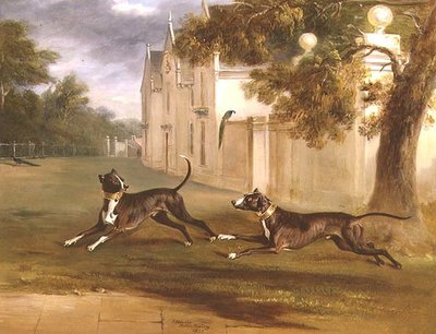 Os dois Bull Terriers do Conde de Brownlow, 