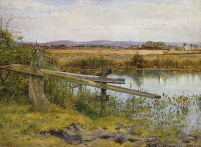 The Roadside, 1862 de John Edward Newton