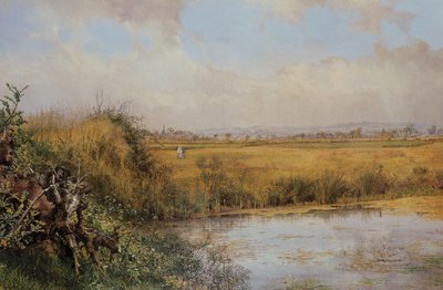 Imagem desconhecida de John Edward Newton