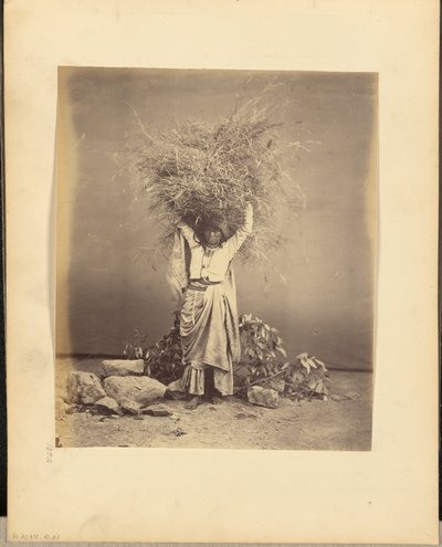 [Jovem camponesa indiana segurando galhos na cabeça]. de John Edward Saché