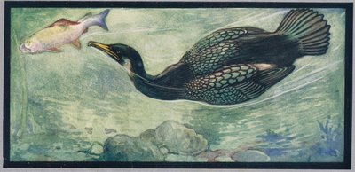 Uma ave que persegue um peixe, ilustração de 