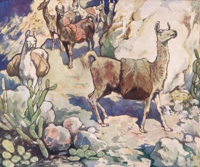 Alpacas num caminho de montanha, ilustração de 