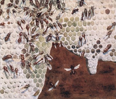 Abelhas fazendo mel, ilustração de 
