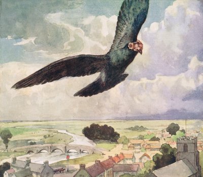 Pássaro voando sobre uma cidade, ilustração de 