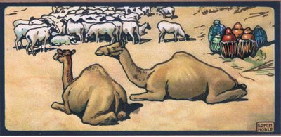Camelos de John Edwin Noble