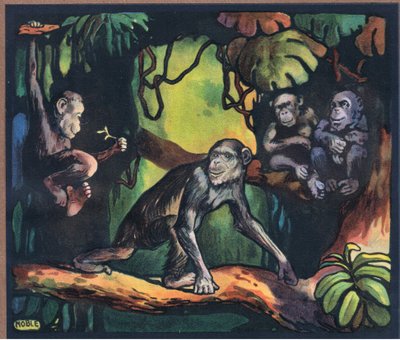 Chimpanzé de John Edwin Noble