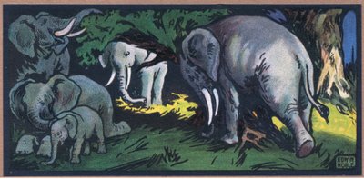 Elefante na selva de John Edwin Noble