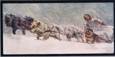 Huskies puxando um trenó, ilustração de 