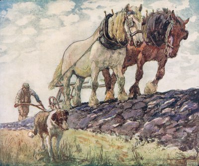 Arando o campo, ilustração de 