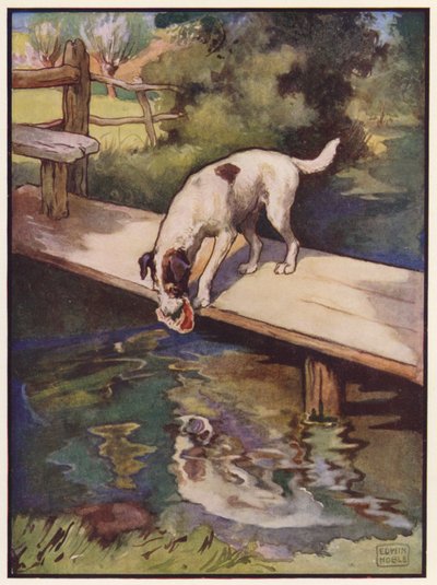 O Cão e a Sombra (cor litho) de John Edwin Noble