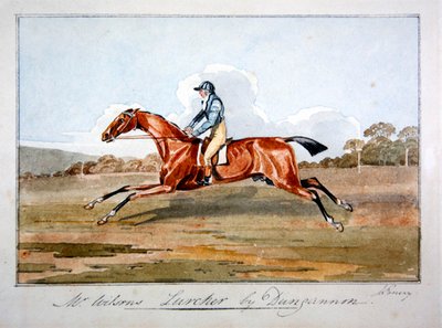O "Lurcher" do Sr. Wilson por Dungannon de John Emery