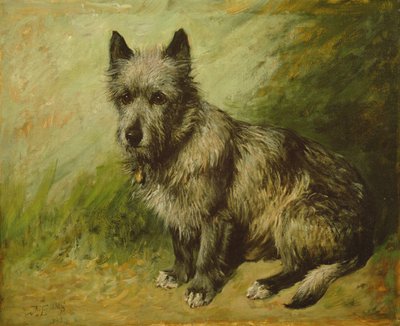 Farrapos de John Emms