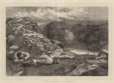 O Olhar Auld Hind de John Evan Hodgson